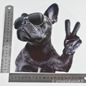 silityskuva iso koira