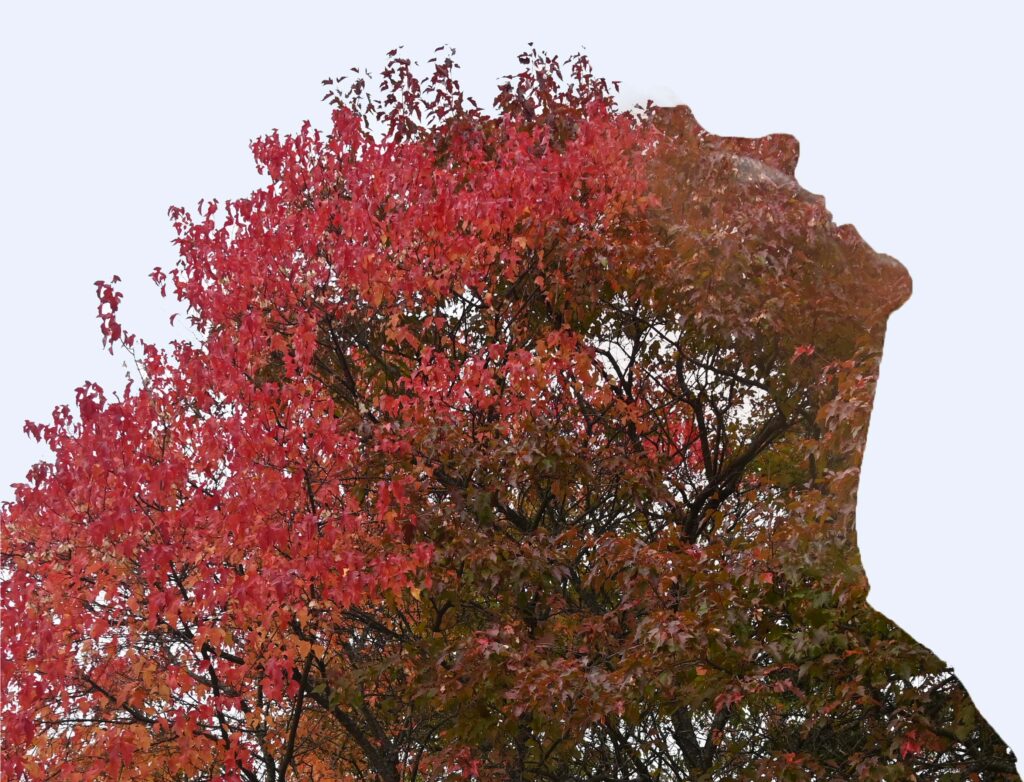 Ompelutarvikkeet ja ompelukaavat