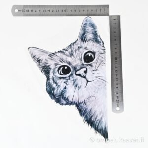 silityskuva kurkkaava kissa oikea iso